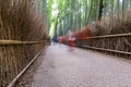 Arashiyama Bamboo Grooves